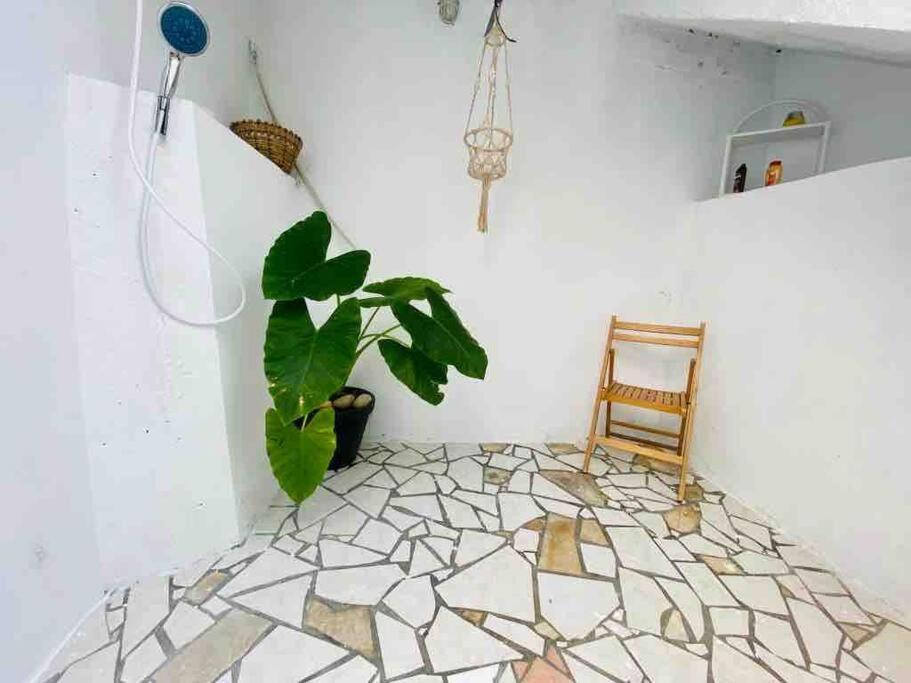 Habitation Nala Proche Bourg Apartamento Terre-De-Haut Exterior foto